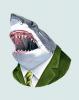 shark1.jpg